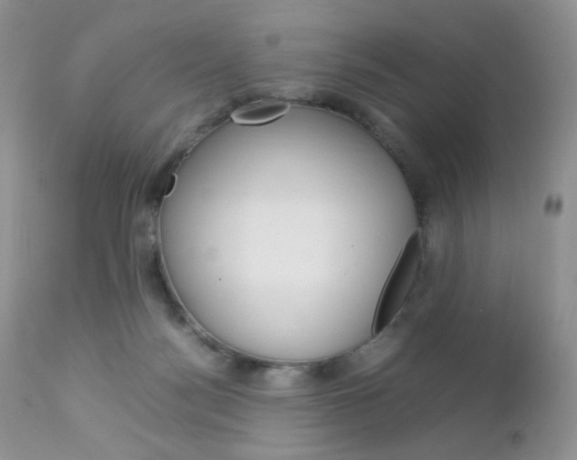 X0000113110172200908281026