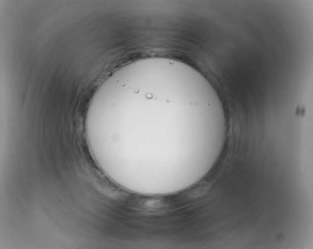 X0000113110173200908281026