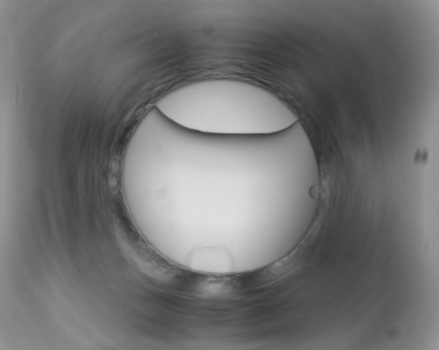 X0000113110175200908281026