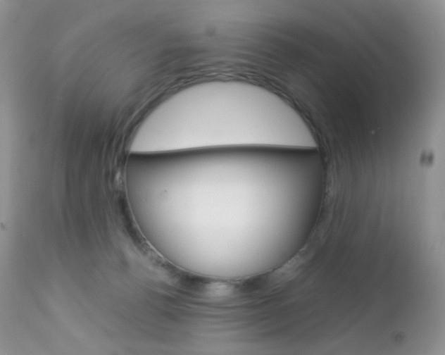 X0000113110176200908281026