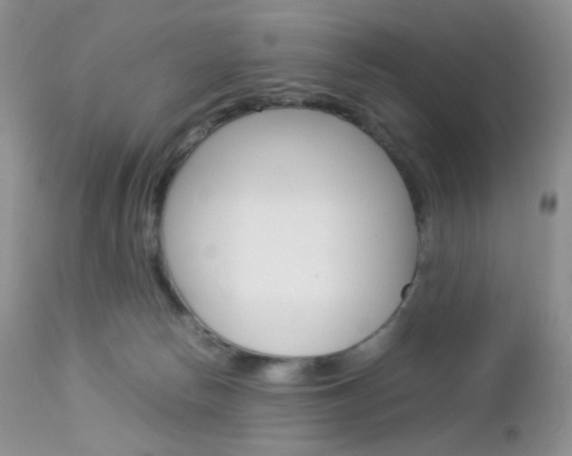 X0000113110178200908281026