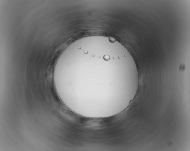 X0000113110179200908281026
