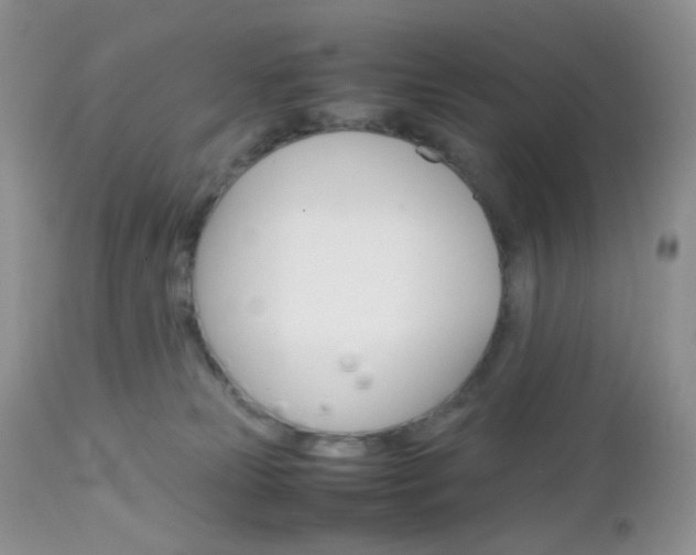 X0000113110181200908281026