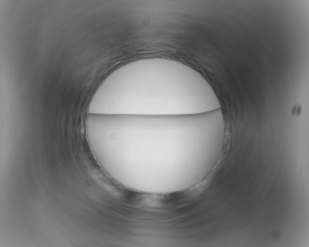 X0000113110182200908281026