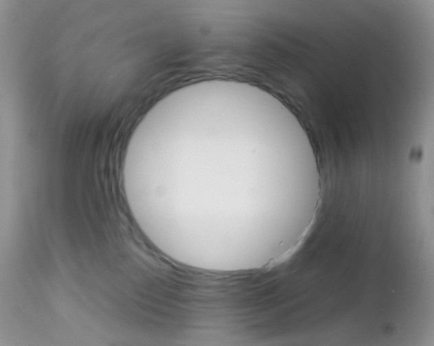 X0000113110186200908281026