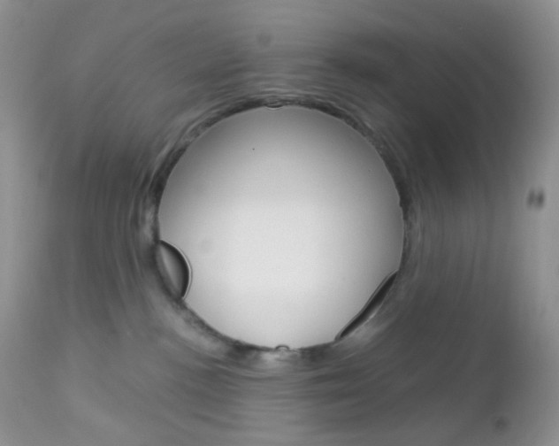 X0000113110188200908281026