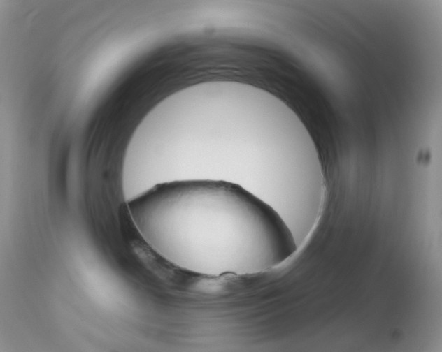X0000113110190200908281026