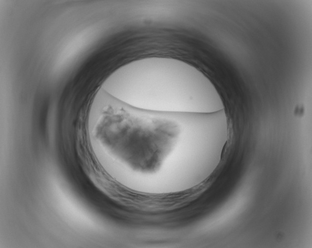 X0000113110191200908281026