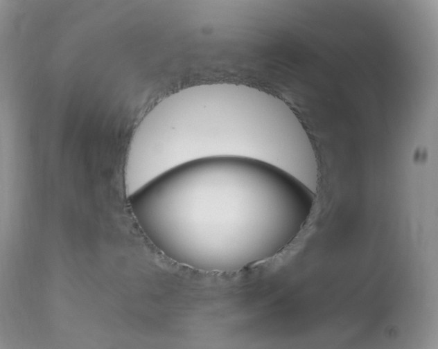 X0000113110192200908281026