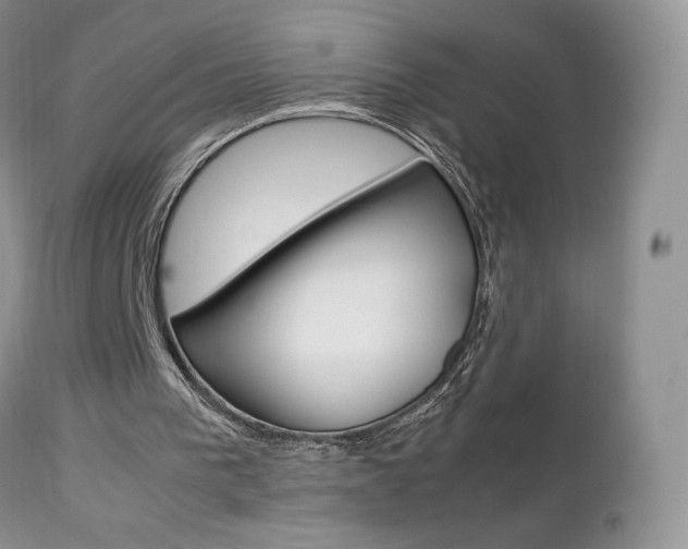 X0000113110193200908281026
