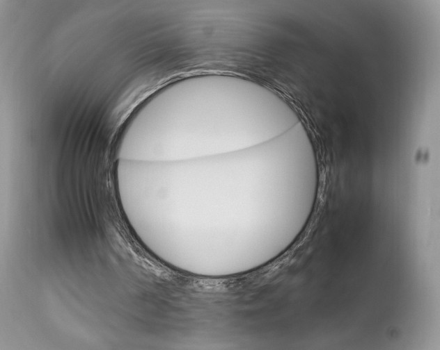 X0000113110194200908281026