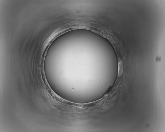 X0000113110195200908281026