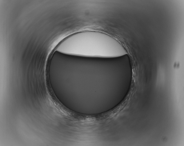 X0000113110196200908281026