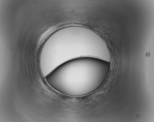 X0000113110197200908281026