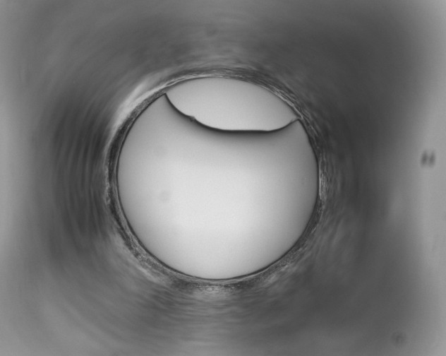 X0000113110198200908281025