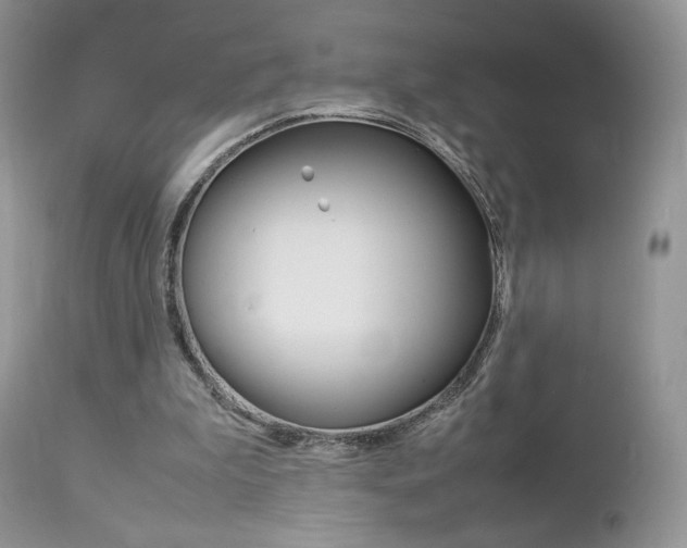 X0000113110199200908281025