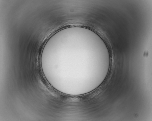 X0000113110202200908281025