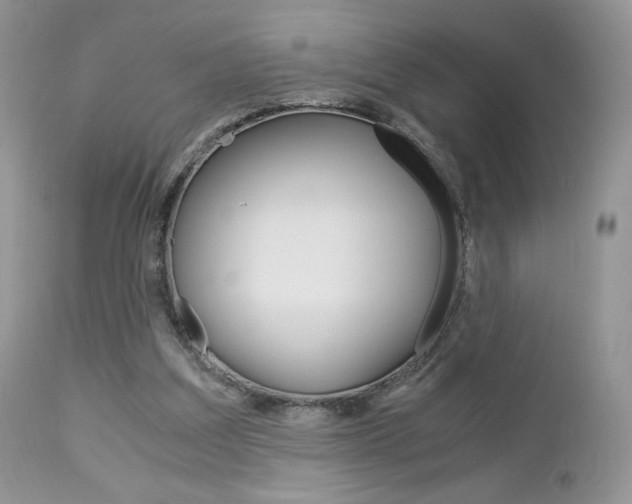 X0000113110203200908281025