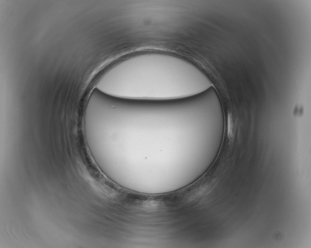 X0000113110204200908281025