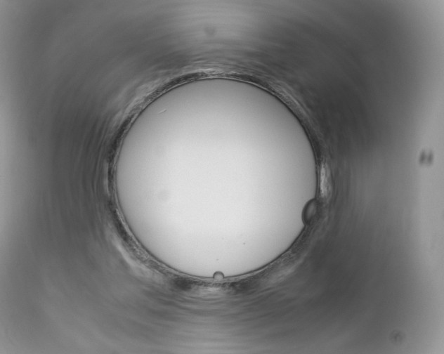 X0000113110205200908281025