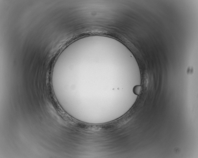 X0000113110206200908281025