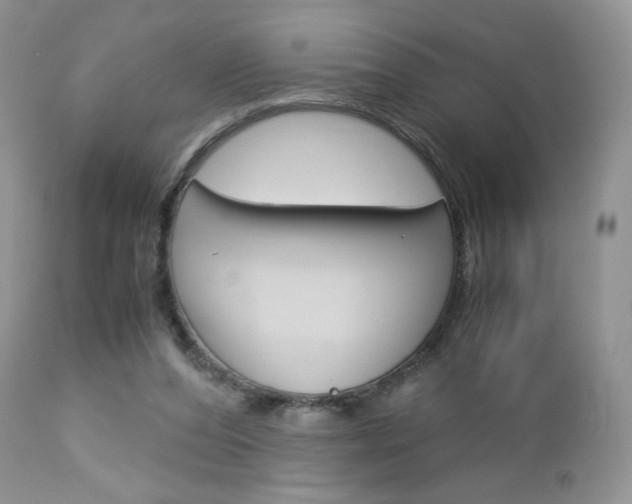 X0000113110208200908281025