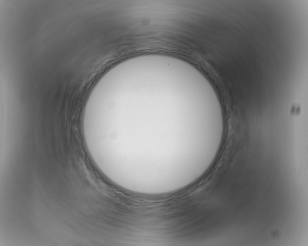 X0000113110209200908281025