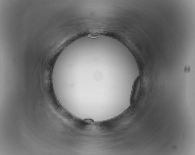 X0000113110211200908281025
