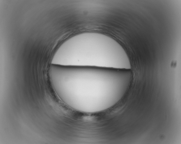 X0000113110216200908281025