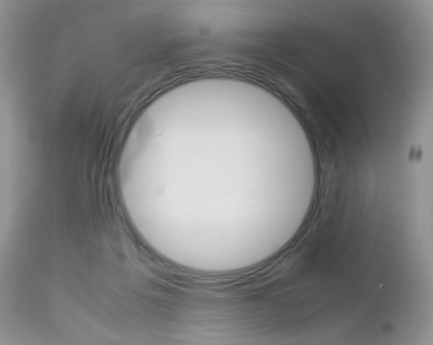 X0000113110217200908281025