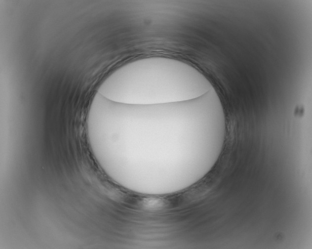 X0000113110218200908281025