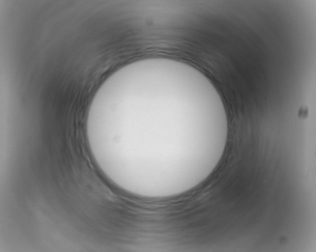 X0000113110219200908281025