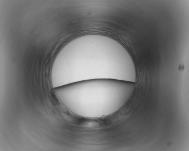 X0000113110220200908281025