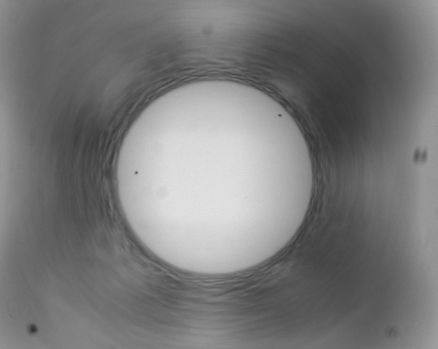 X0000113110221200908281025