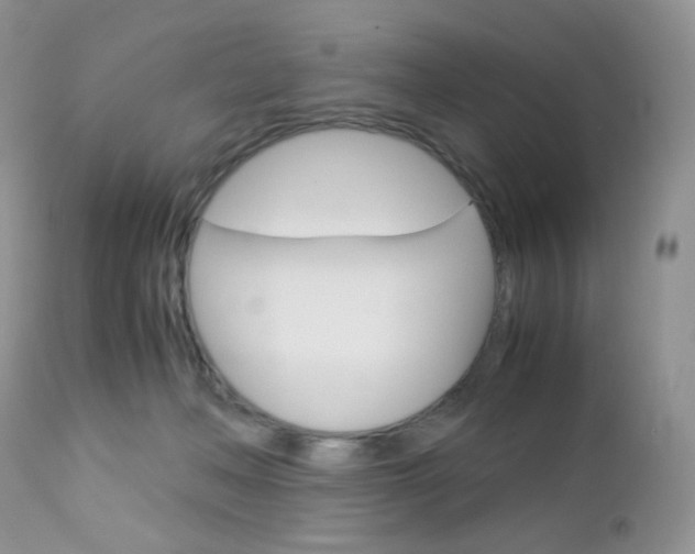 X0000113110222200908281025