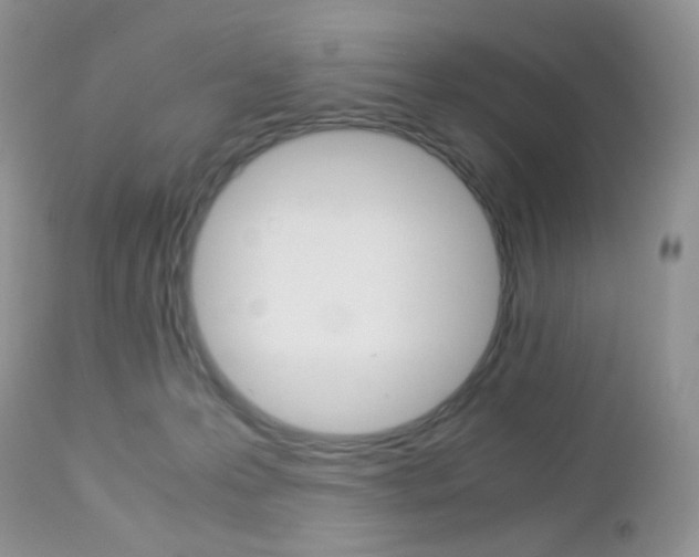 X0000113110223200908281025