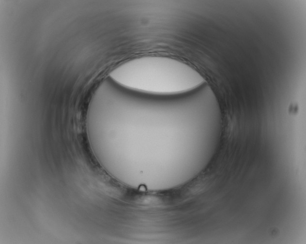 X0000113110224200908281025
