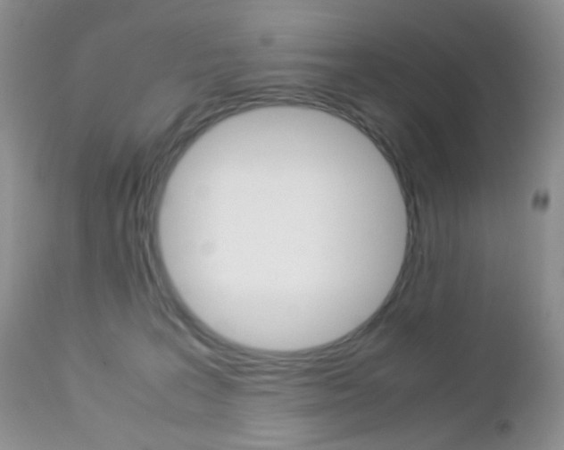 X0000113110227200908281025