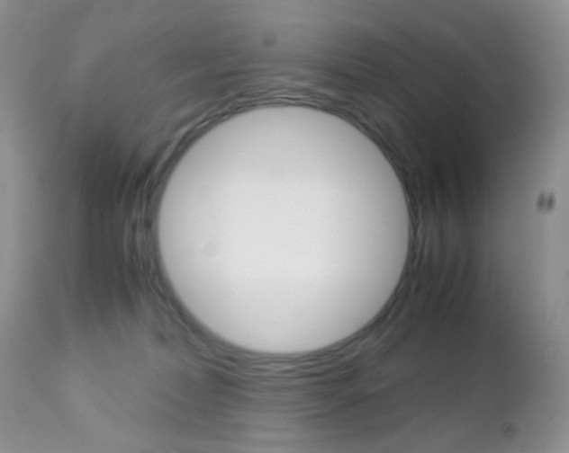 X0000113110228200908281025