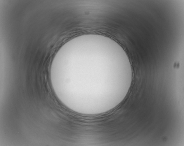 X0000113110229200908281025
