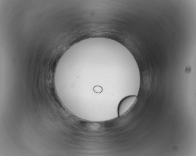 X0000113110230200908281025