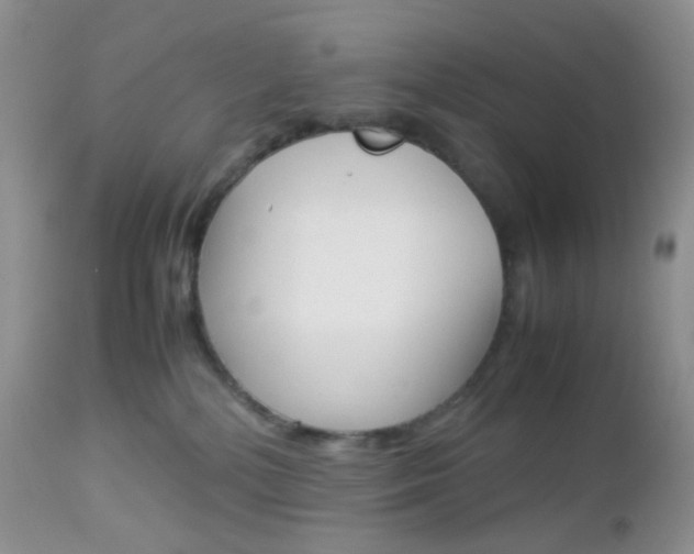X0000113110232200908281025
