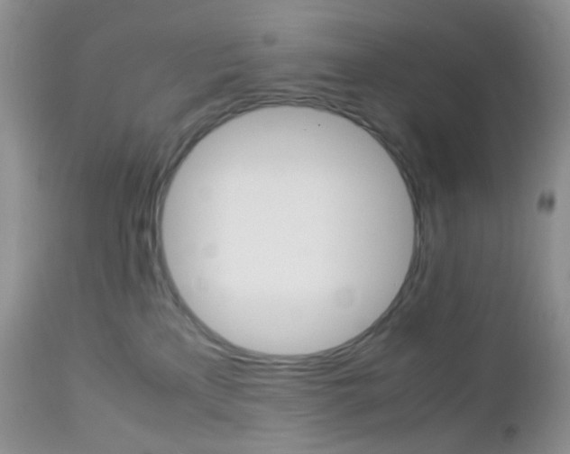 X0000113110233200908281025