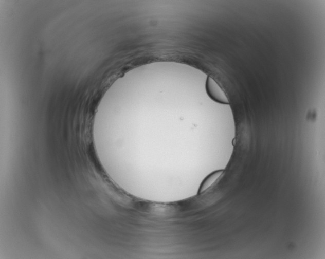 X0000113110234200908281025