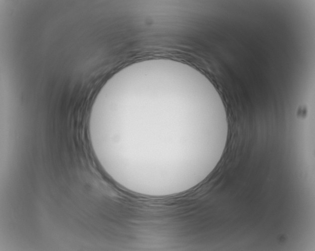 X0000113110235200908281025