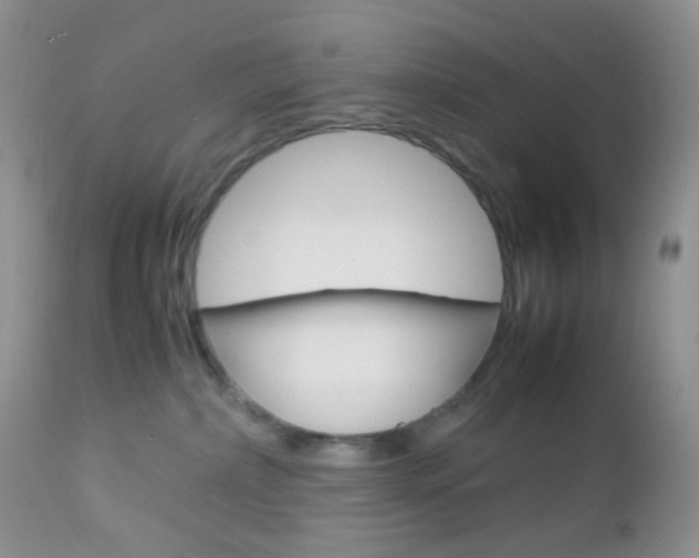 X0000113110236200908281025