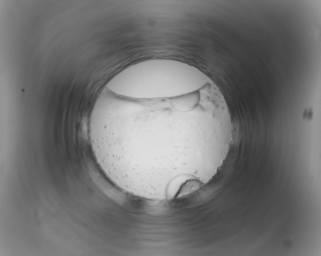 X0000113110238200908281025