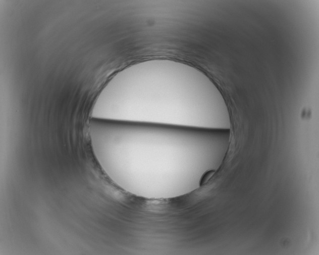 X0000113110240200908281025