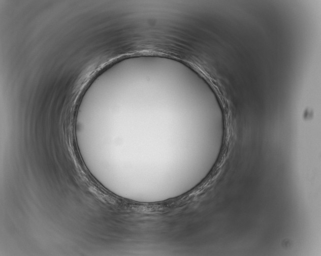 X0000113110241200908281024