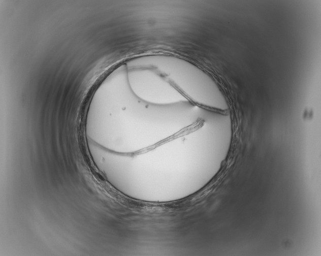 X0000113110242200908281024